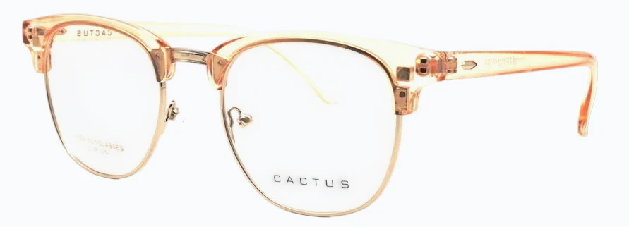 Cactus Prism - Image 9