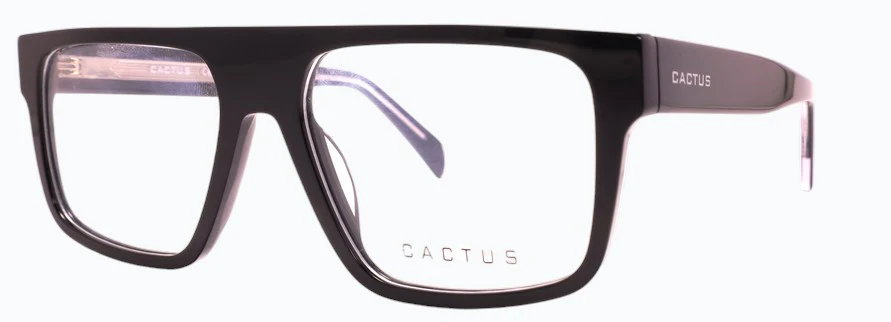 Cactus Puddle - Image 5