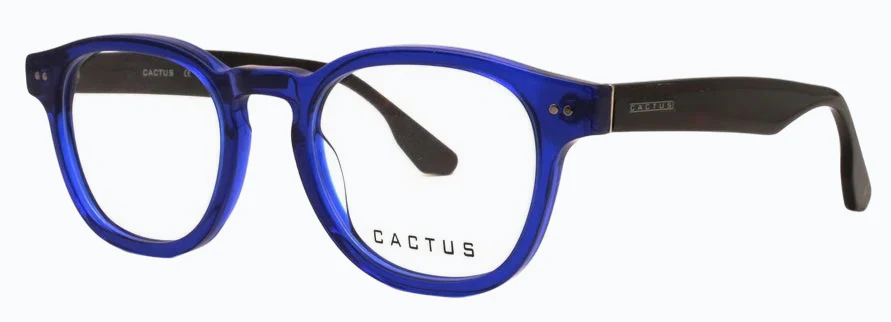 Cactus Radiant - Image 3