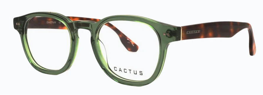 Cactus Radiant - Image 7