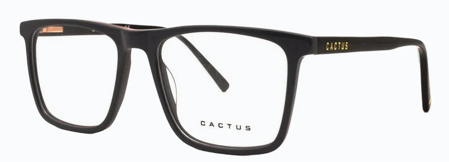 Cactus RB01 - Image 3
