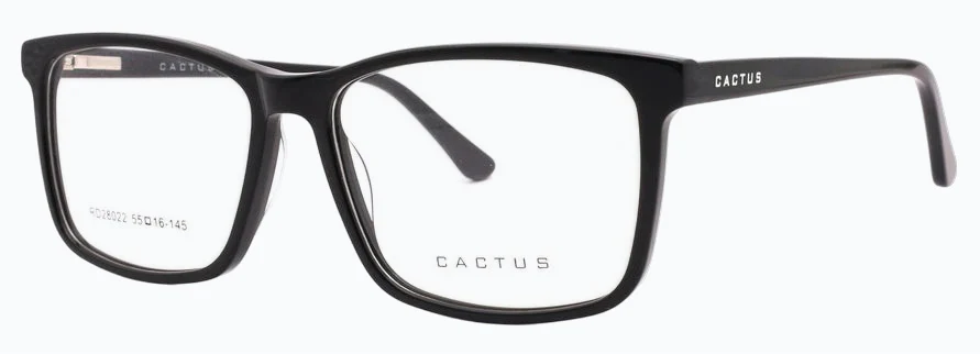 Cactus RD28022 - Image 3