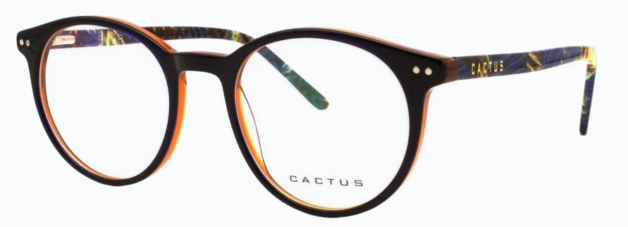 Cactus Renaissance - Image 11
