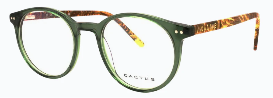 Cactus Renaissance - Image 3