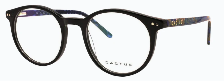 Cactus Renaissance - Image 7