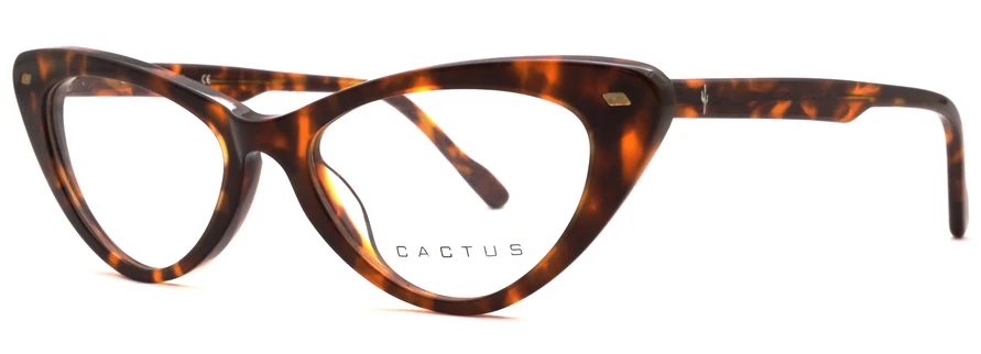 Cactus Retro - Image 8