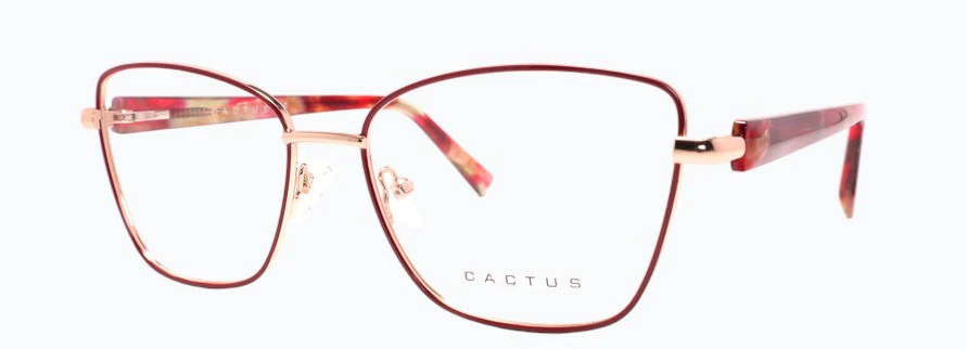 Cactus Ridge - Image 2
