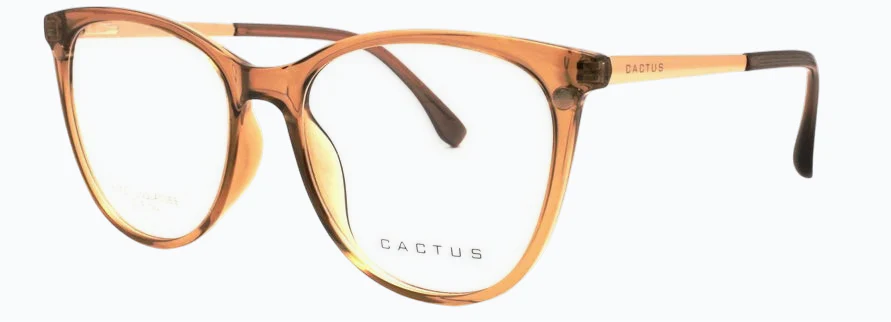 Cactus Riviera - Image 6