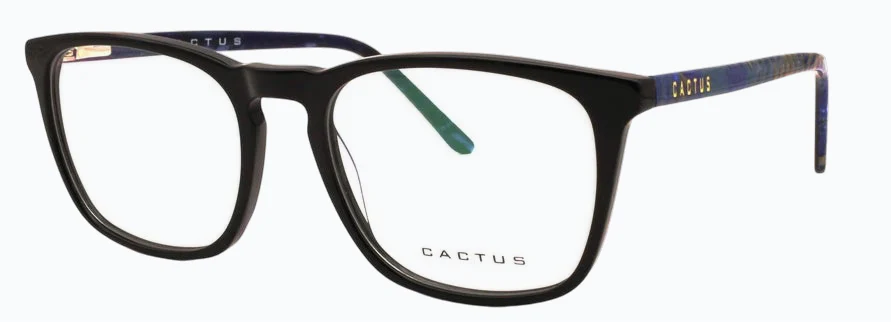 Cactus Romance - Image 3