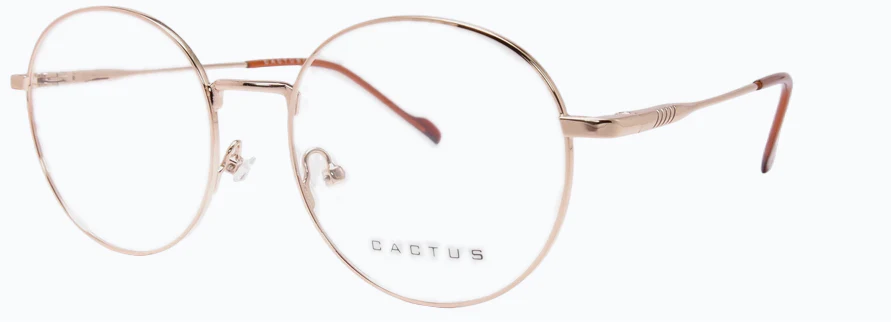 Cactus RY1028 - Image 3