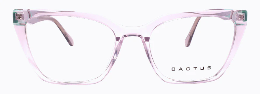 Cactus RY202502