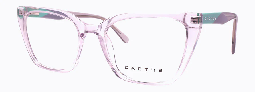 Cactus RY202502 - Image 2