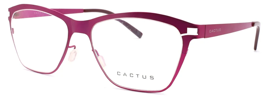 Cactus S1598 - Image 2