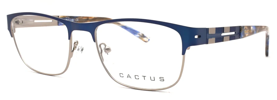 Cactus S1879 - Image 2