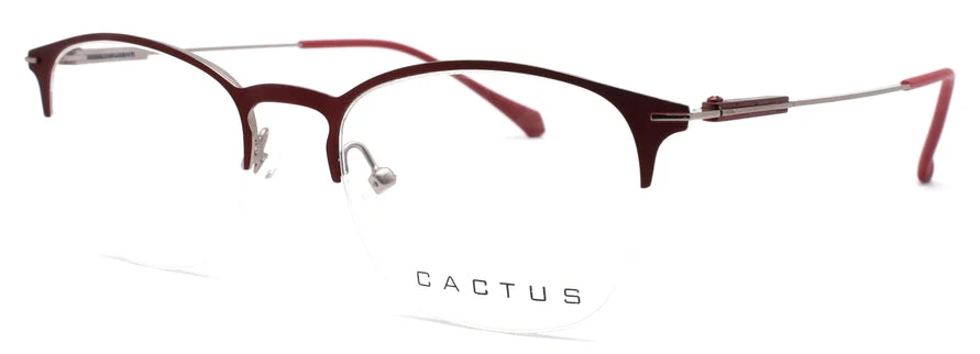 Cactus Salas - Image 2