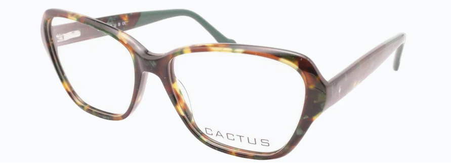 Cactus Salsa - Image 3