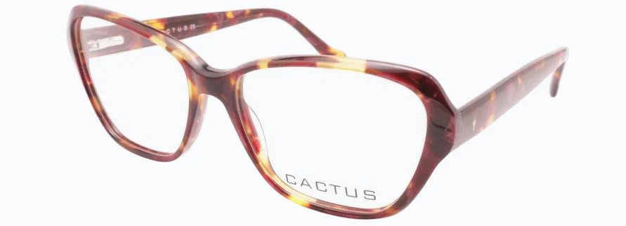 Cactus Salsa - Image 9