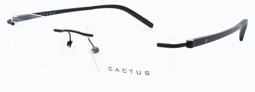 Cactus Selrls 8 - Image 6