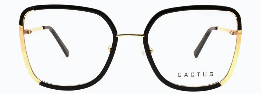 Cactus Serenity
