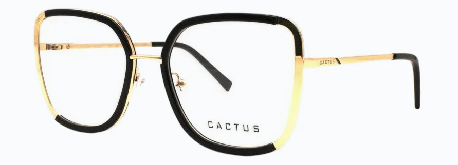 Cactus Serenity - Image 3