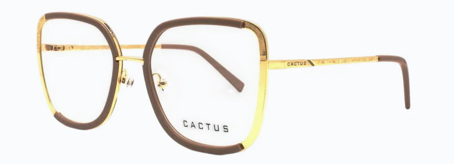 Cactus Serenity - Image 6