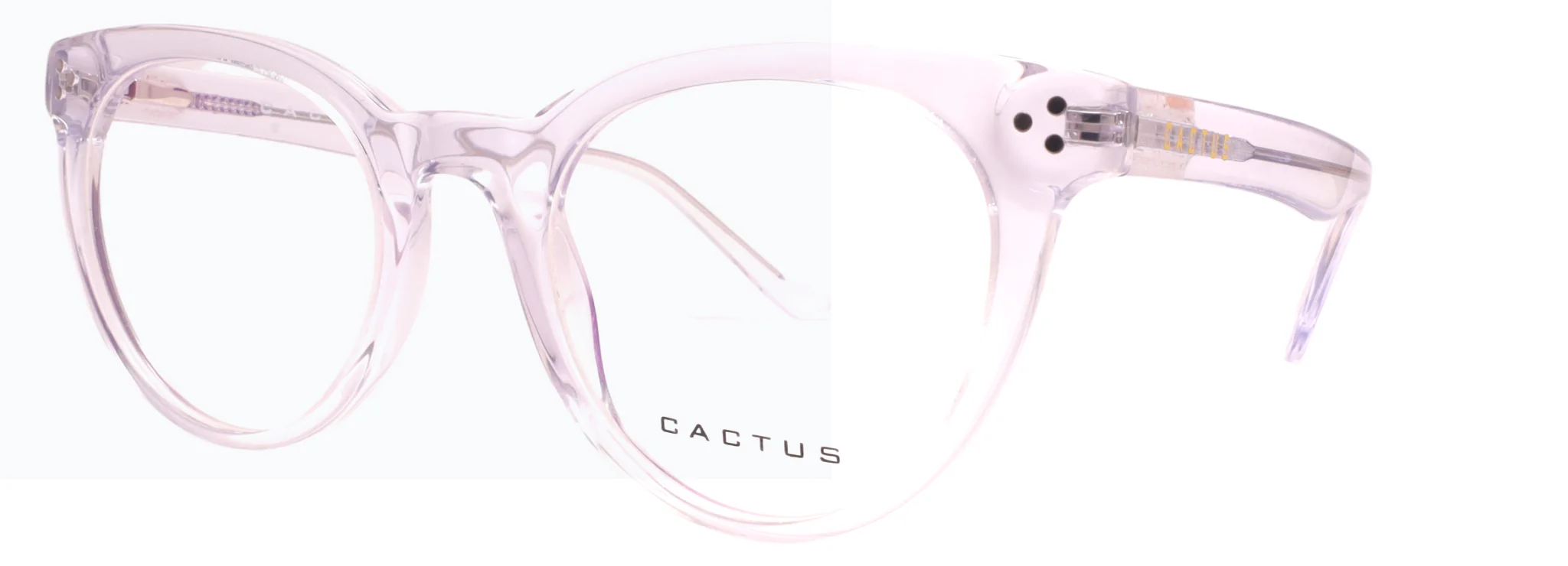 Cactus Shimmer - Image 9