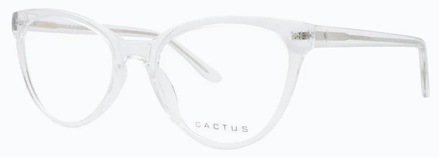 Cactus Sicilia - Image 15