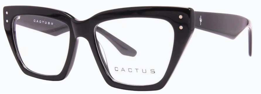 Cactus Silvarium - Image 4