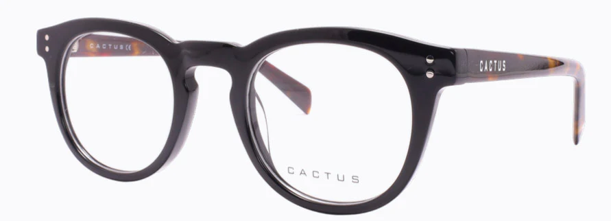 Cactus Solace - Image 2