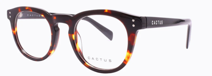 Cactus Solace - Image 5