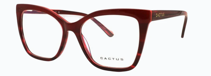 Cactus Solstice - Image 3