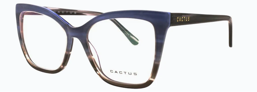 Cactus Solstice - Image 9