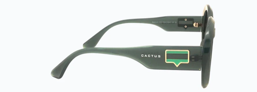 Cactus Spectrum - Image 4
