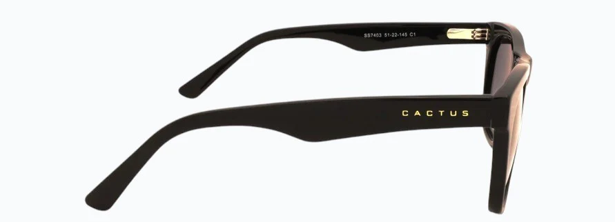 Cactus SS7403 - Image 4