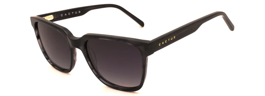 Cactus SS7411 - Image 2