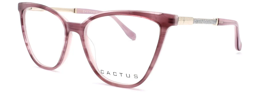 Cactus Steffi - Image 2