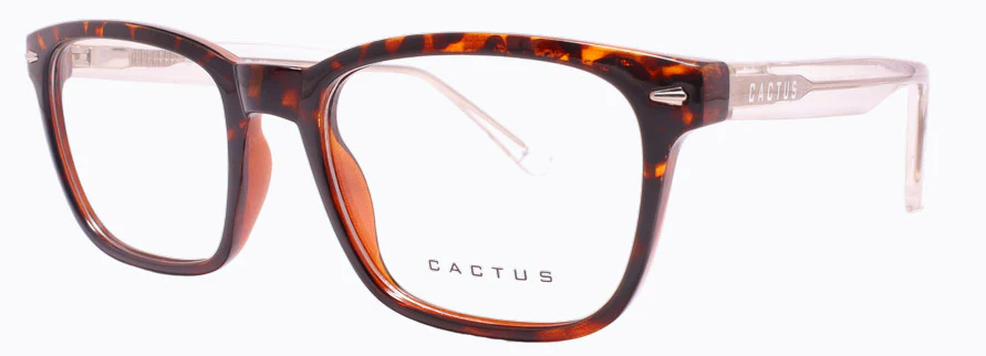 Cactus Stellite - Image 2