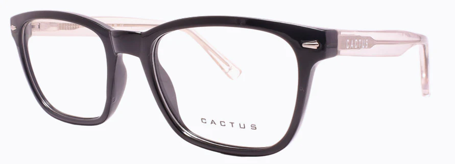 Cactus Stellite - Image 5