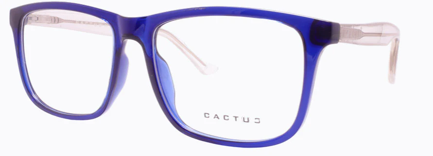 Cactus Stibium - Image 2