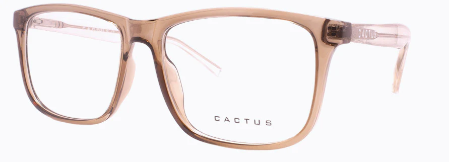 Cactus Stibium - Image 5