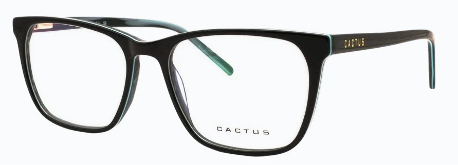 Cactus Strength - Image 3