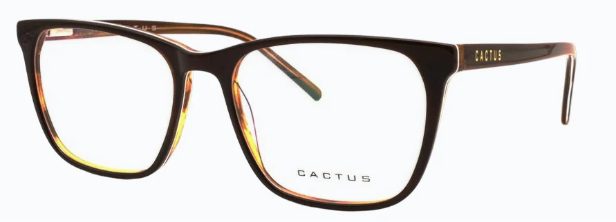 Cactus Strength - Image 6