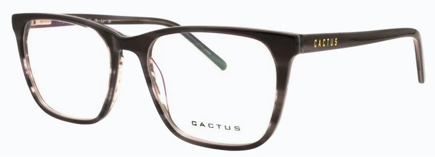 Cactus Strength - Image 9
