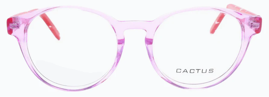 Cactus Summer - Image 5