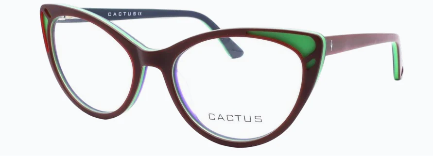 Cactus Sunrise - Image 3