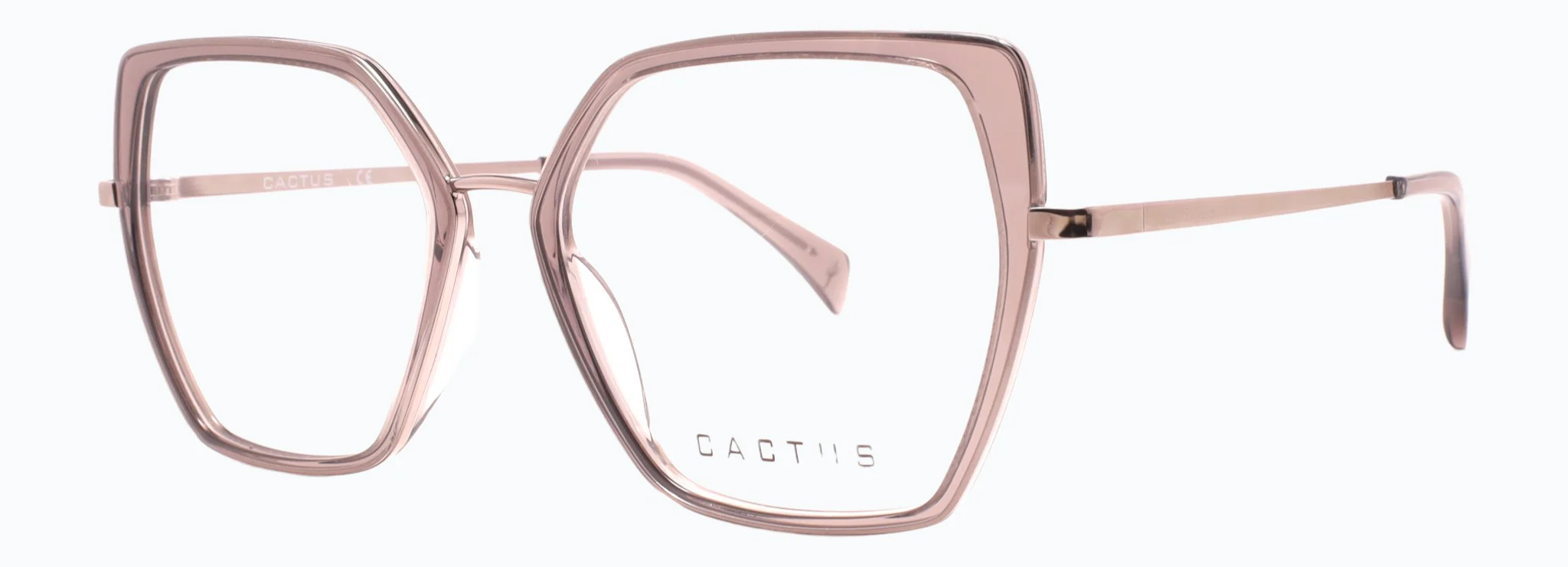 Cactus Symbol - Image 5