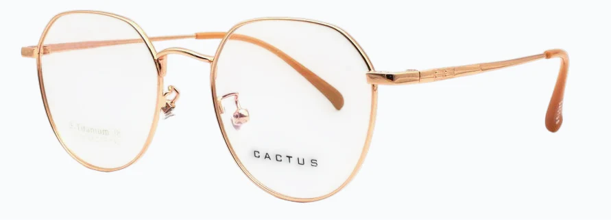 Cactus T834 - Image 3