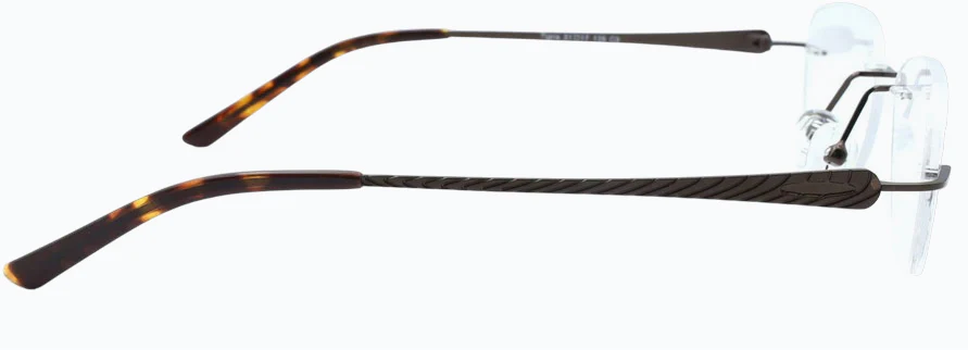 Cactus Tigris - Image 12