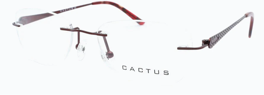 Cactus Tigris - Image 3