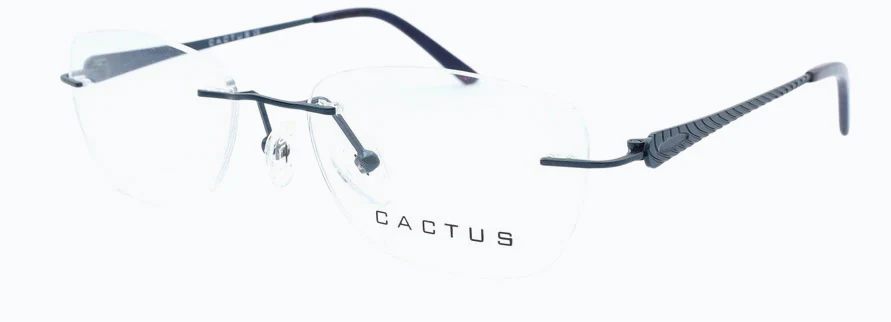 Cactus Tigris - Image 7